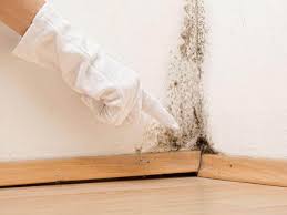 Best Asbestos and Lead Testing During Mold Inspection  in Barron, WI